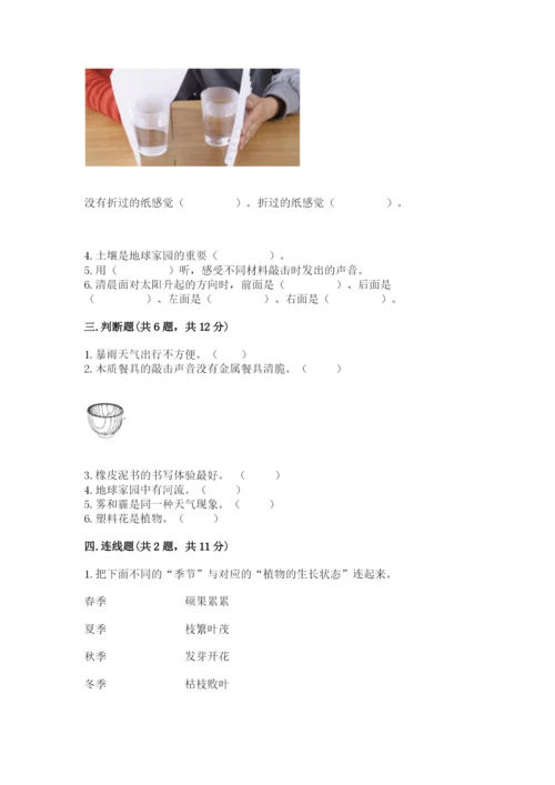 教科版二年级上册科学期末测试卷学生专用.docx