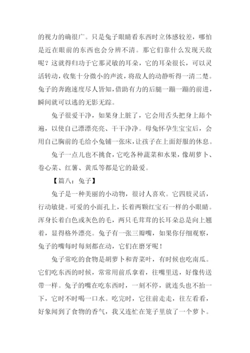 兔子的作文0.docx