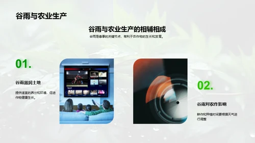 谷雨传播新实践