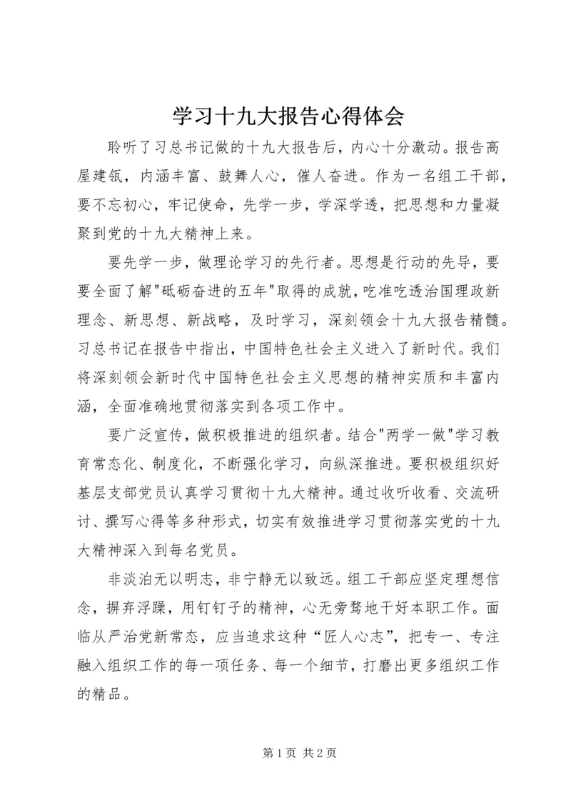 学习十九大报告心得体会_1 (2).docx