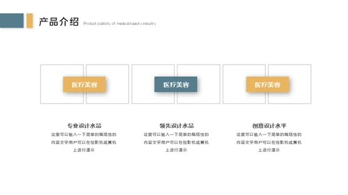 医疗美容产品宣传整形医院医美介绍通用PPT模板