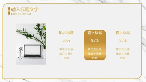 白金大理石纹理奢华PPT模板