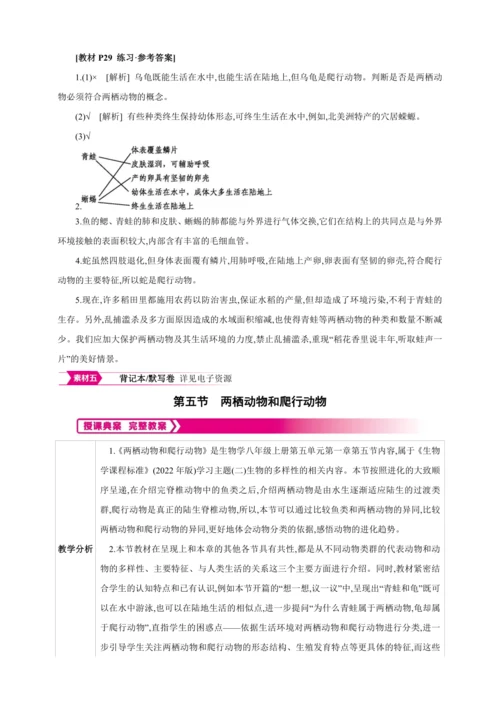 5.1.5 两栖动物和爬行动物【2024秋人教八上生物精彩课堂（素材+教案+导学案）】