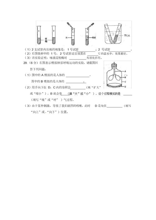 济南版七年级生物下册章测试题