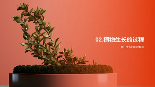 植物生长奥秘揭秘