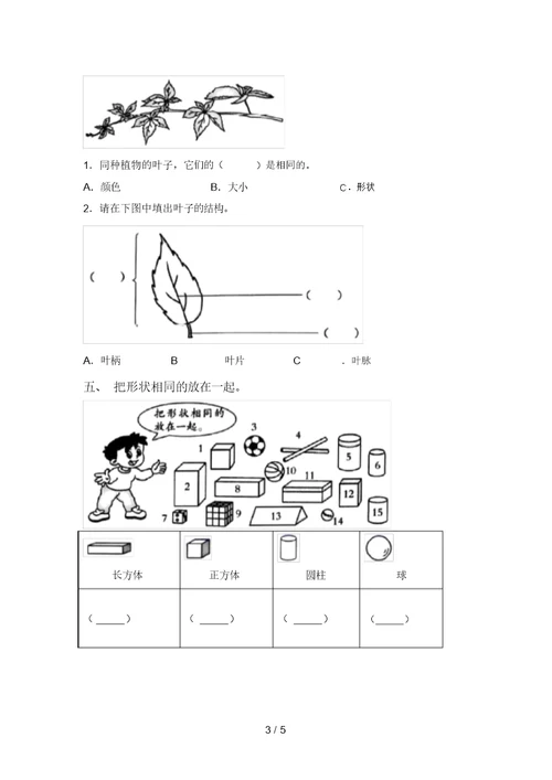 新教科版一年级科学上册期中考试卷(全面)