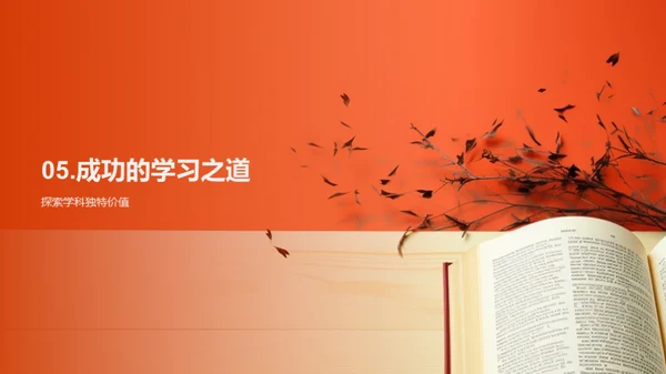 高一学科全方位探索