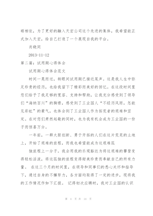 试用期心得体会（5篇）.docx