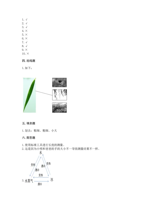 教科版小学一年级上册科学期末测试卷a4版可打印.docx