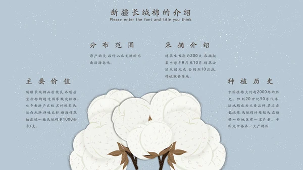 新疆长绒棉通用PPT模板