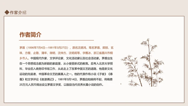知名现代作家茅盾人物介绍PPT课件模板