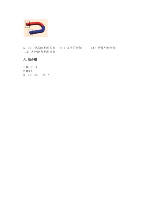 教科版二年级下册科学期末测试卷【有一套】.docx