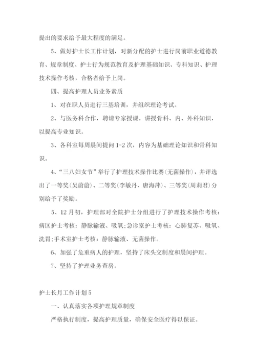 护士长月工作计划.docx