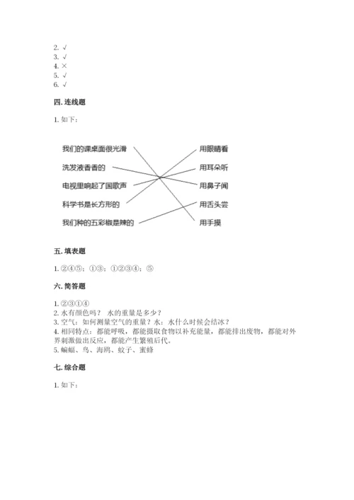 教科版一年级下册科学期末测试卷含完整答案【历年真题】.docx