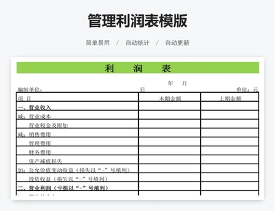 管理利润表模版