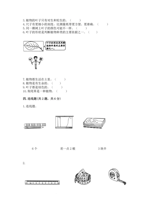 教科版一年级上册科学期末测试卷（全国通用）.docx