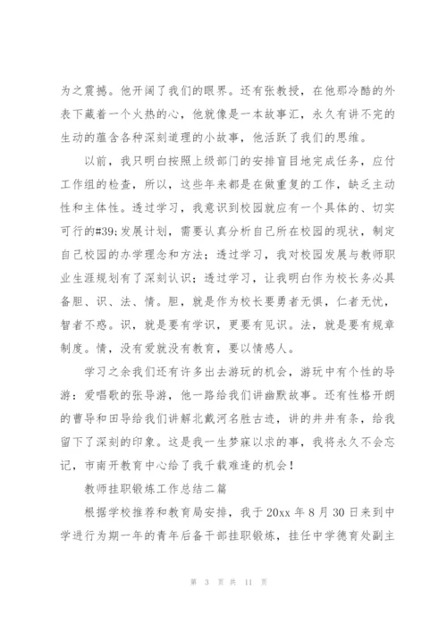 教师挂职锻炼工作总结三篇.docx
