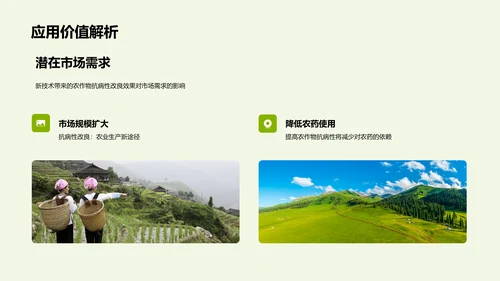 农业基因编辑研究