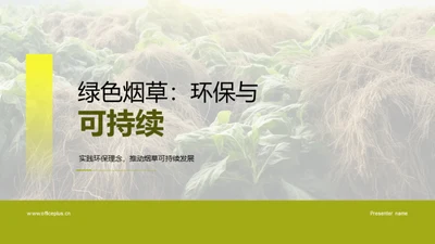 绿色烟草：环保与可持续