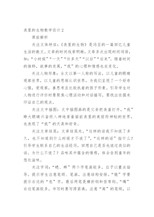 表里的生物教学设计.docx