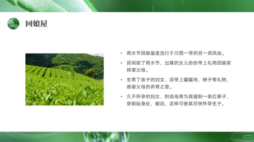 雨水绿色露水背景通用PPT模板