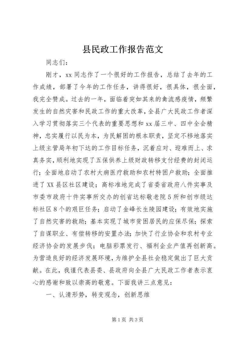 县民政工作报告范文.docx