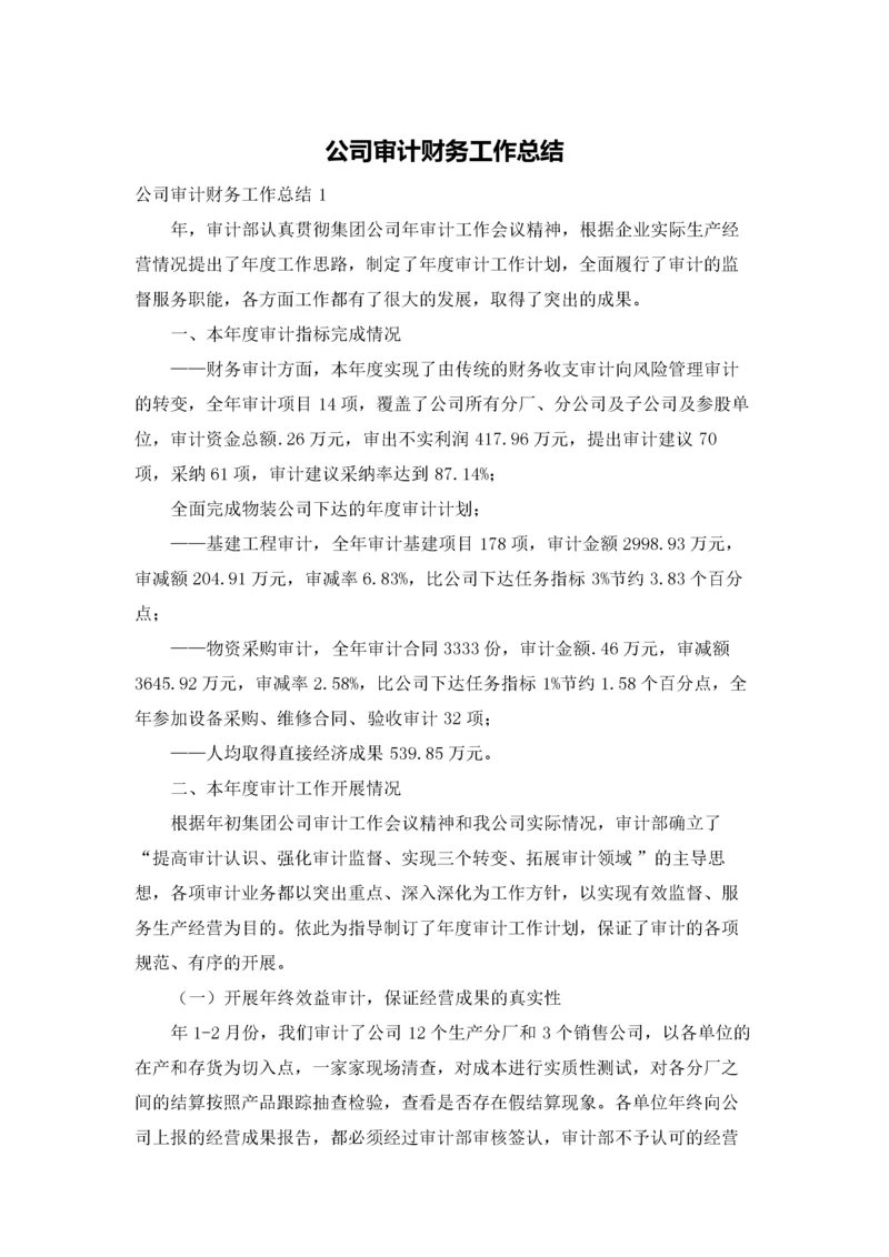 公司审计财务工作总结.docx