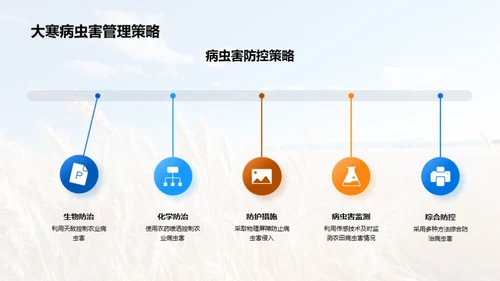 大寒节气农业研究