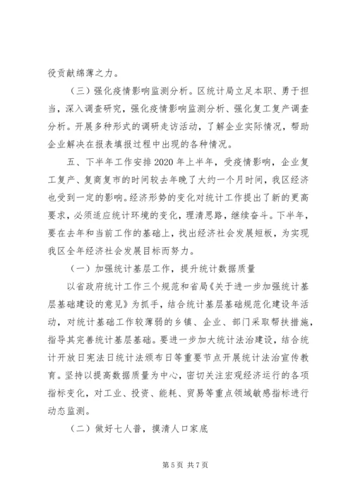 最XX县区统计局XX年上半年工作总结及下半年工作计划.docx