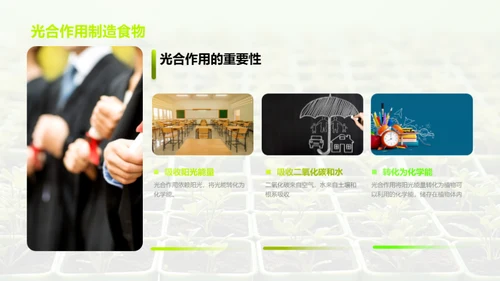 植物的奥秘世界