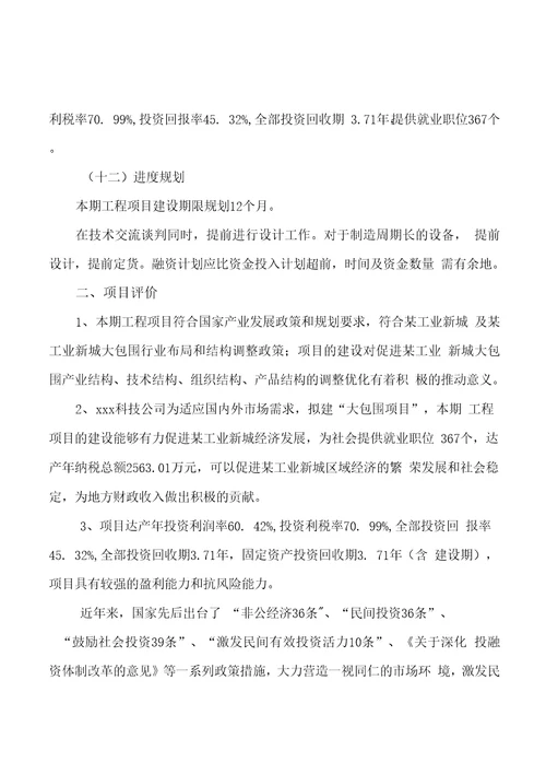 模板大包围项目投资分析计划书参考方案