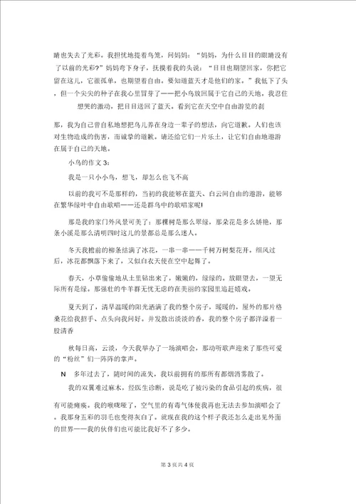 关于小鸟的作文