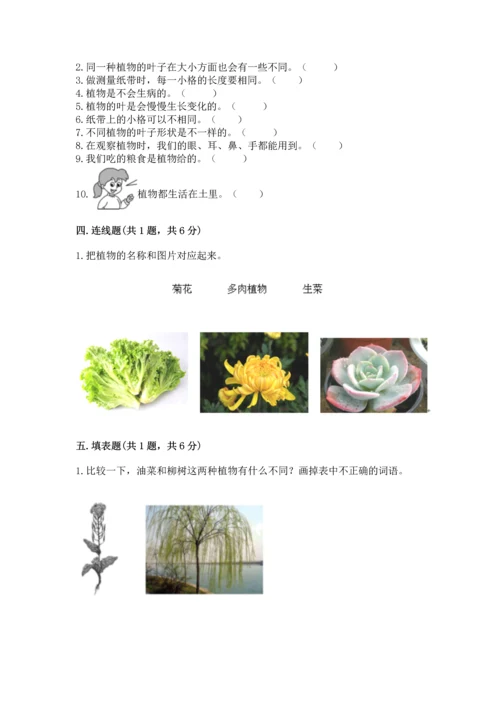 教科版科学一年级上册期末测试卷精品（黄金题型）.docx