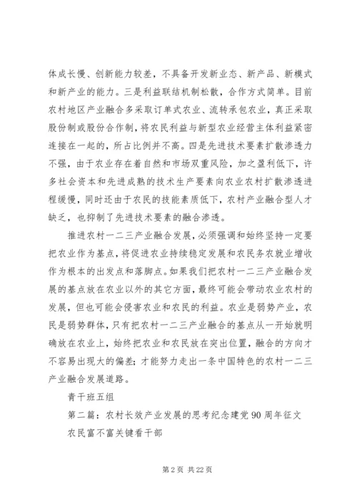 关于农村产业融合发展的几点思考.docx