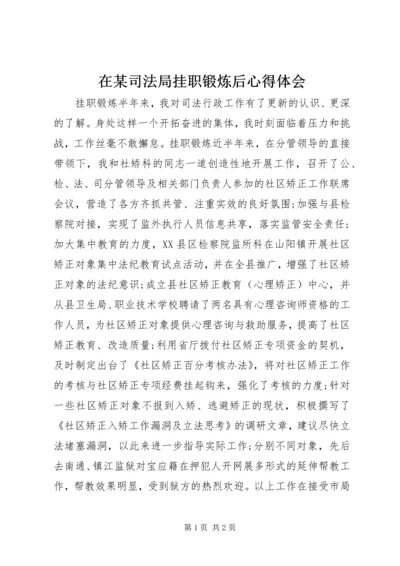 在某司法局挂职锻炼后心得体会.docx