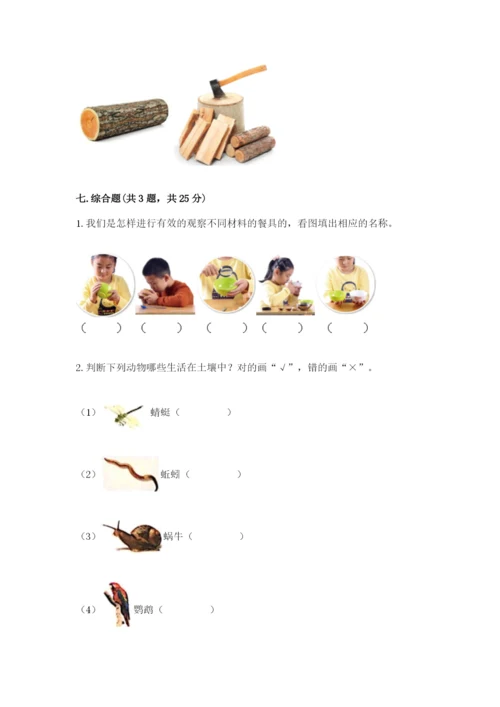 教科版小学二年级上册科学期末测试卷含答案【培优b卷】.docx