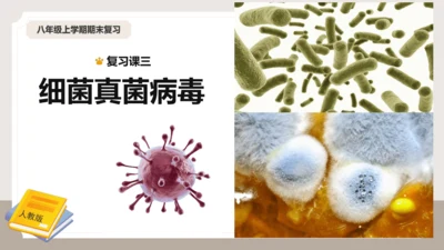 人教版生物八年级上册2.3 细菌、真菌和病毒 本章复习课件(共23张PPT)+视频素材