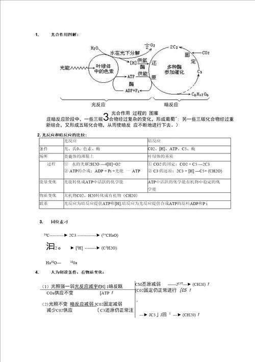 高中生物必修一会考高考必备知识点大全