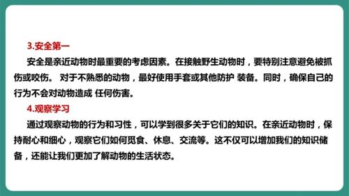 七年级语文上册第五单元 任务二 亲近动物，丰富生命体验 课件-【课堂无忧】新课标同步核心素养课堂