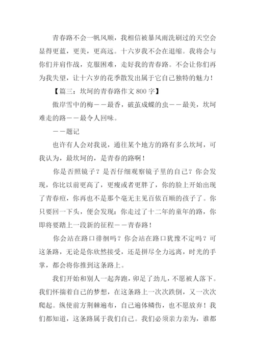 坎坷的青春路作文800字.docx