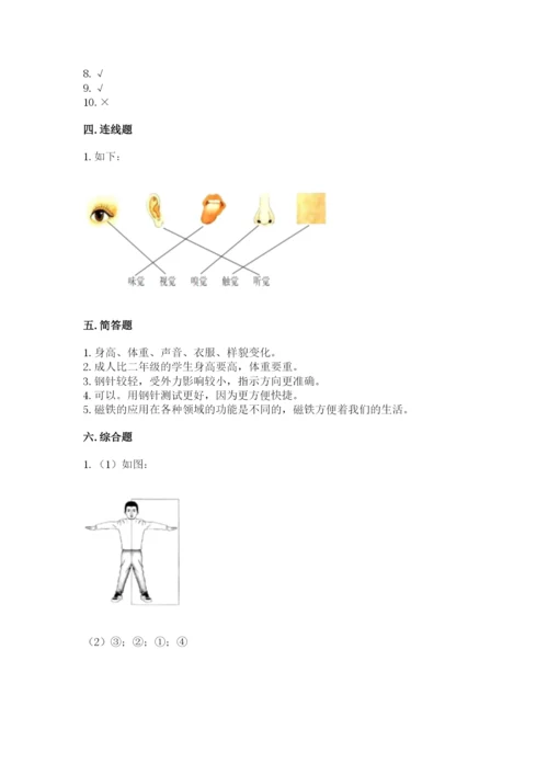 教科版小学科学二年级下册 期末测试卷（有一套）.docx