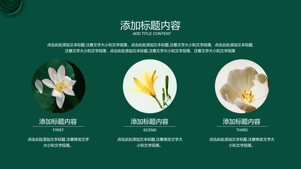 绿色商务风疗愈行业通用PPT演示模板