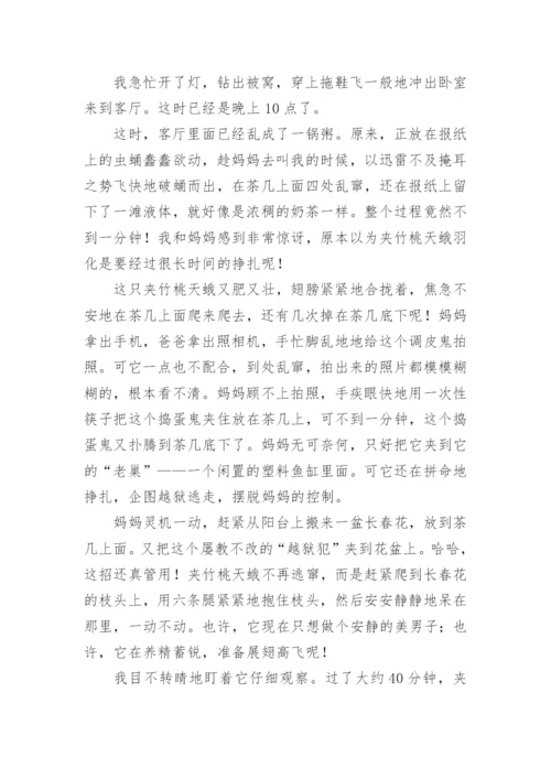 四年级优秀作文.docx