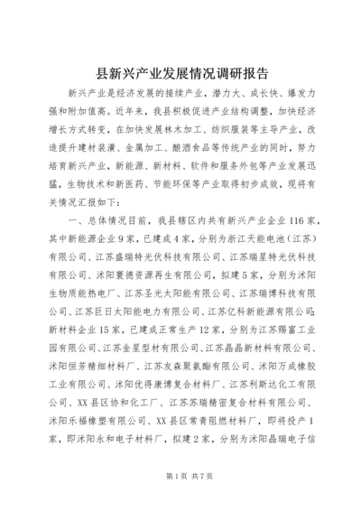 县新兴产业发展情况调研报告.docx