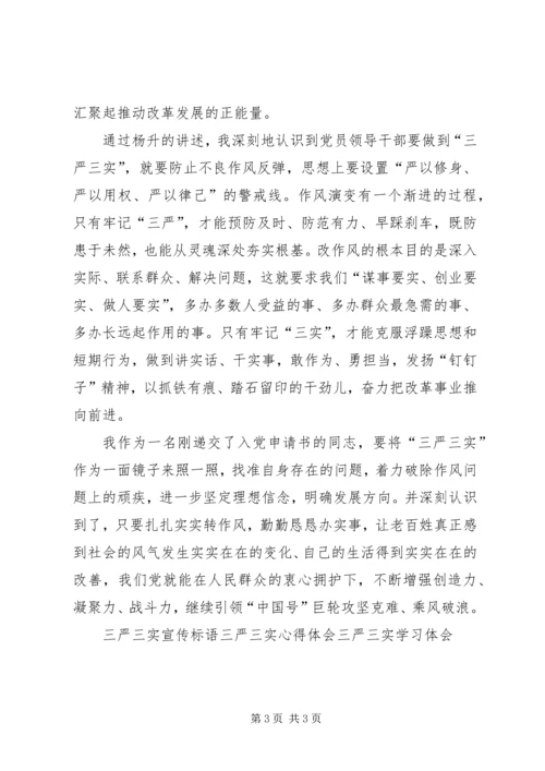 学习三严三实党课心得体会 (3).docx