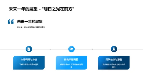 销售策略全年总评