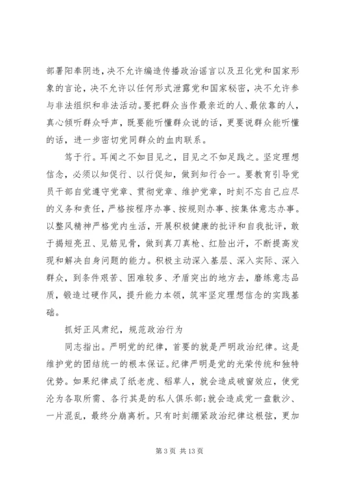 党的政治纪律执行情况汇报.docx