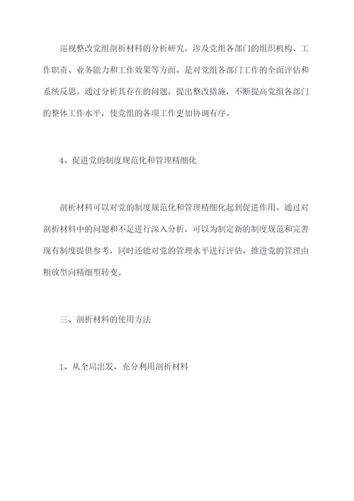 巡视整改党组剖析材料