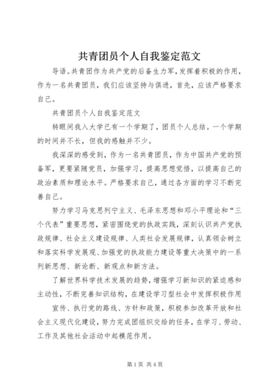 共青团员个人自我鉴定范文.docx