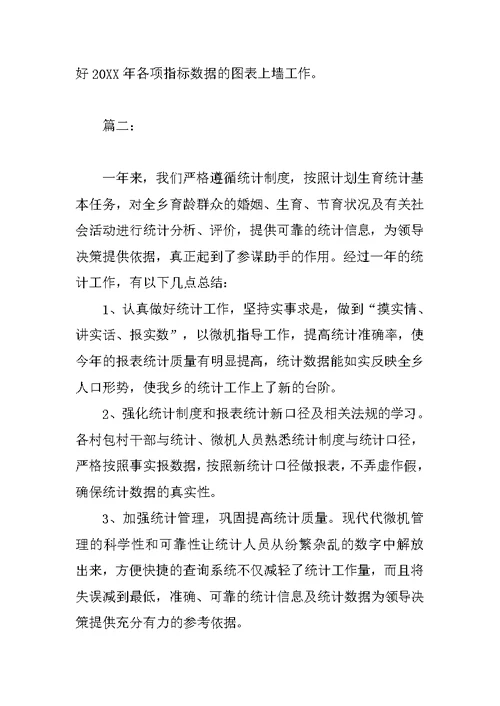 乡镇统计人员年终个人工作总结范文